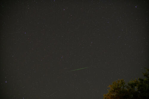 Perseid (15)